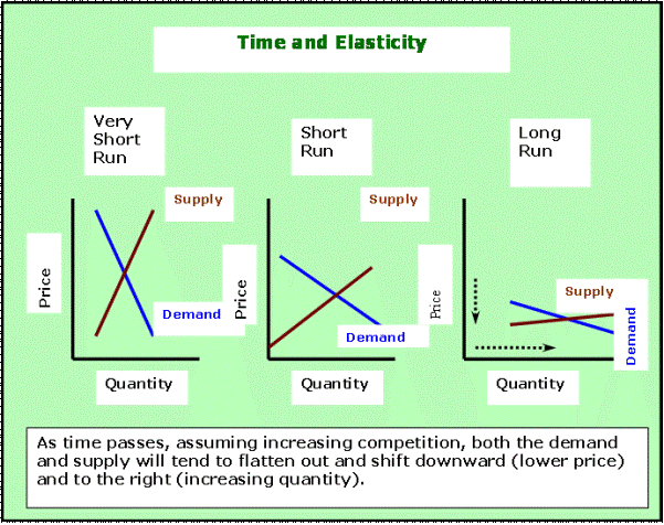 Time and elasticity