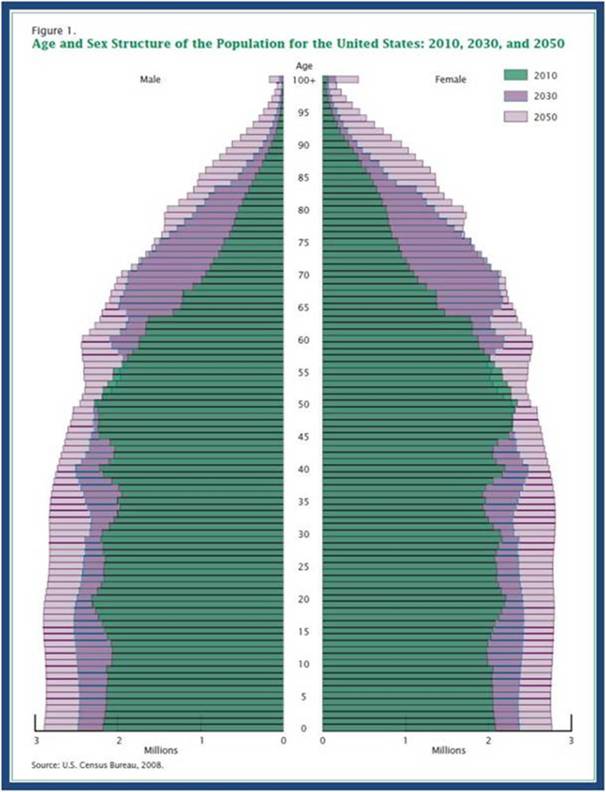 US Population Pyramid 2010–30–50