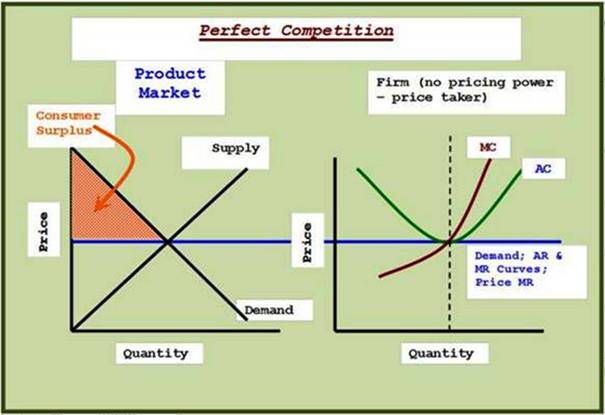 Perfect Competition Market and Individual Firm
