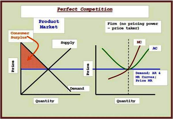 4-Perfect Competition-great for consumer-since we are al consumers we all benefit-competitors receive their opportunity cost (including profit-just enough) and no more